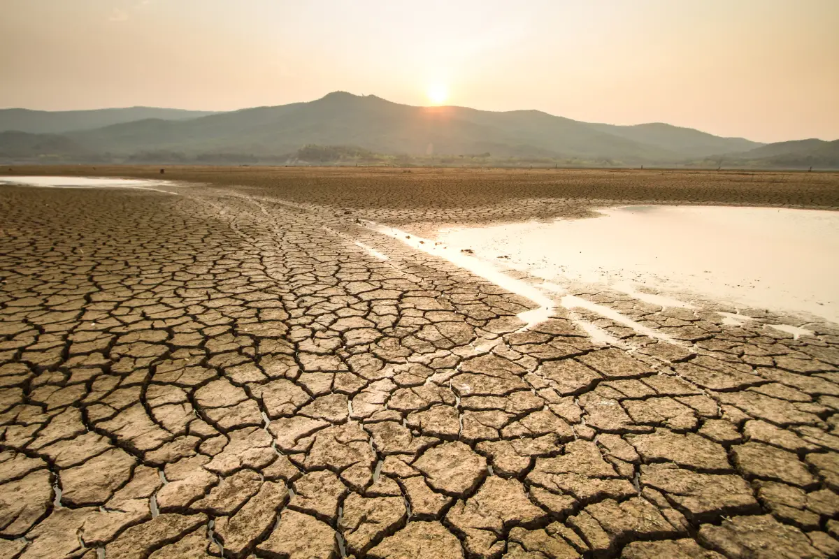sequía falta de agua