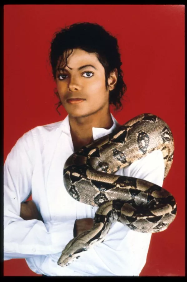 ?url=https%3A%2F%2Fcdn 3.expansion.mx%2Ff5%2F09%2Fd0126c534ffd81b559fc2e328be0%2Fgettyimages 1445415 - 'Thriller' de Michael Jackson cumplirá 40 años