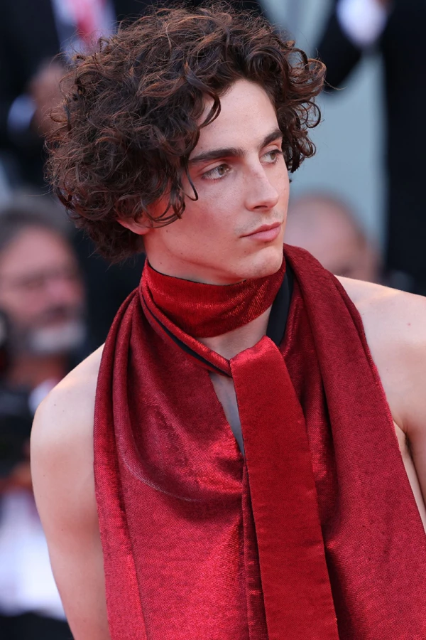 Timothée Chalamet odia las redes sociales y se refugia en el cine