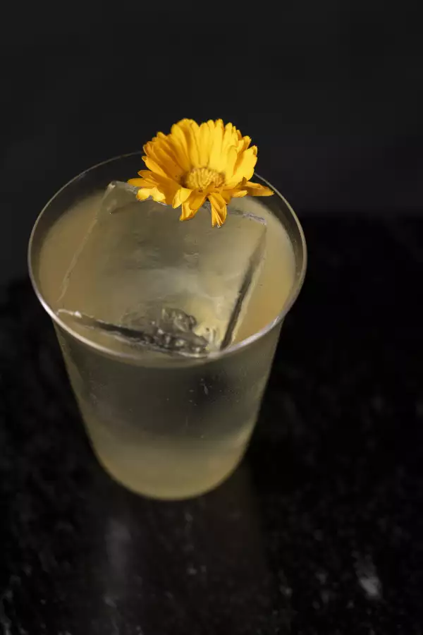 Guava Jasmin 3.jpg