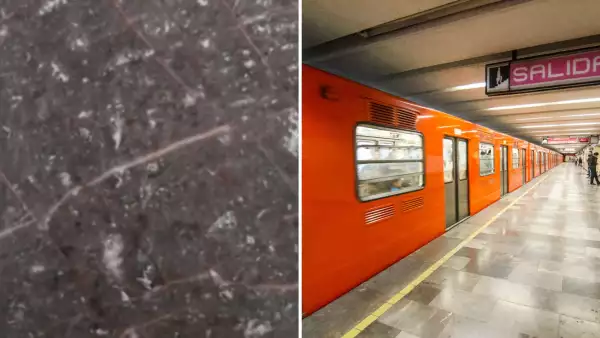 fosiles piso del metro.jpg