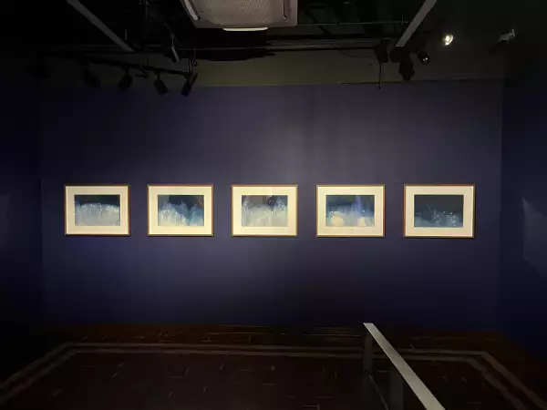 museo-vivo-del-muralismo