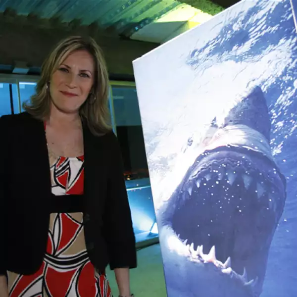 15 años Discovery Channel