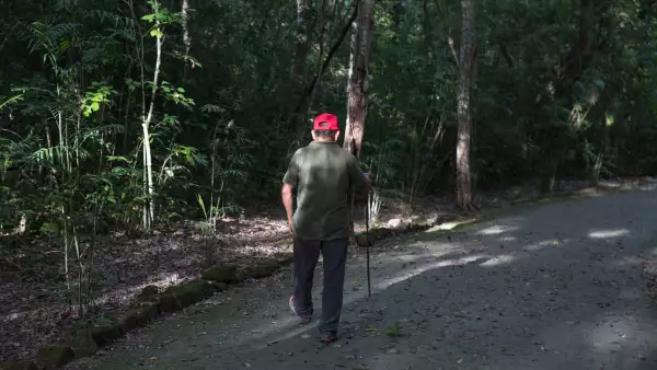 Así es en la actualidad la zona donde se construirá la Estación Calakmul