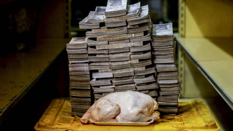Pollo
