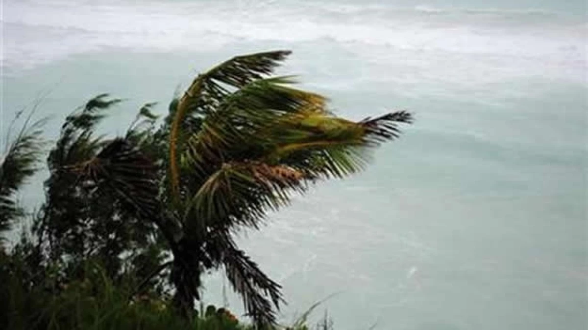 tormenta-tomas