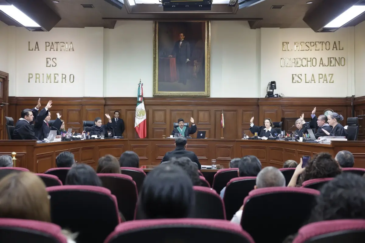 corte.jpg