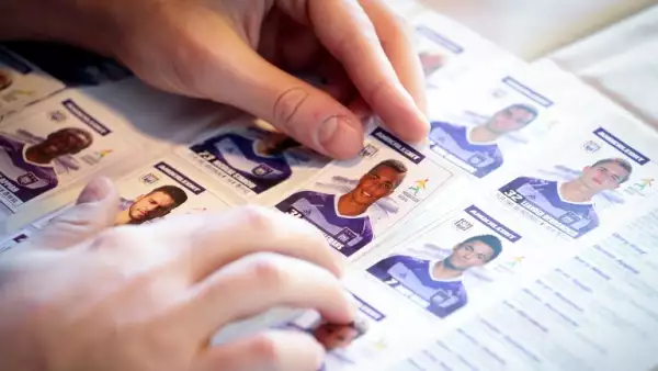 Álbum Panini