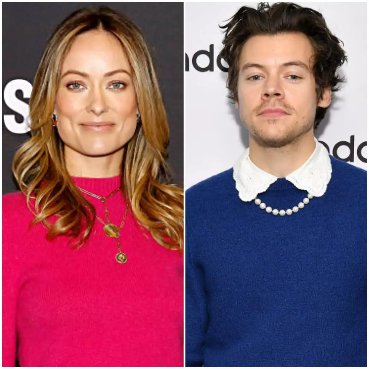 Olivia Wilde y Harry Styles