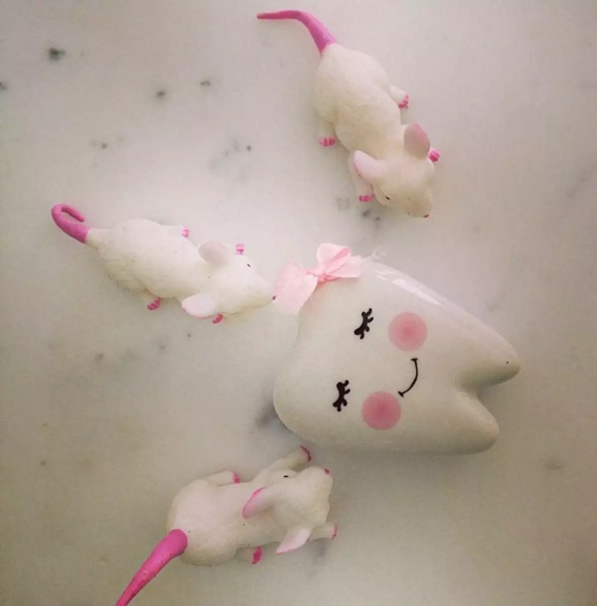 Sabrina también tendría un momento especial, pues ayer perdió un diente de leche.