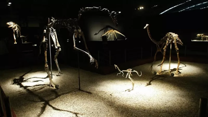 exposicion de dinosaurios