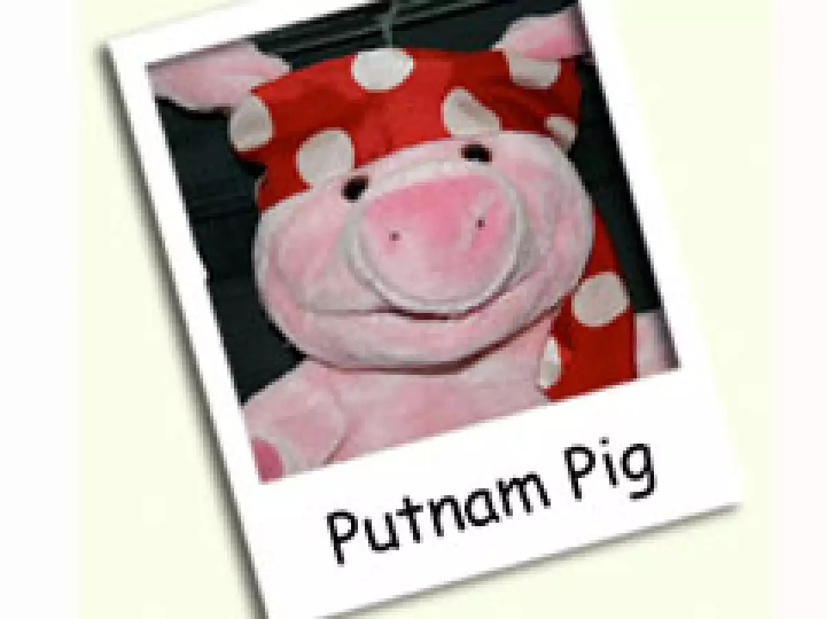 Putnam es un cerdo de peluche que defiende a los puercos en YouTube. (Foto: Cortesía)