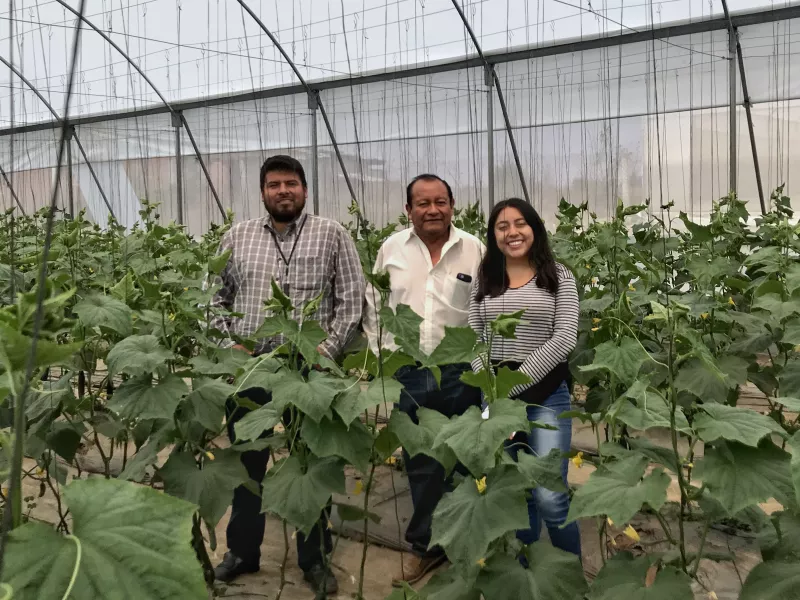 La startup mexicana desarrolló Don Asesor, una plataforma que busca llevar el conocimiento de agrónomos certificados a pequeños y medianos productores mediante inteligencia artificial.