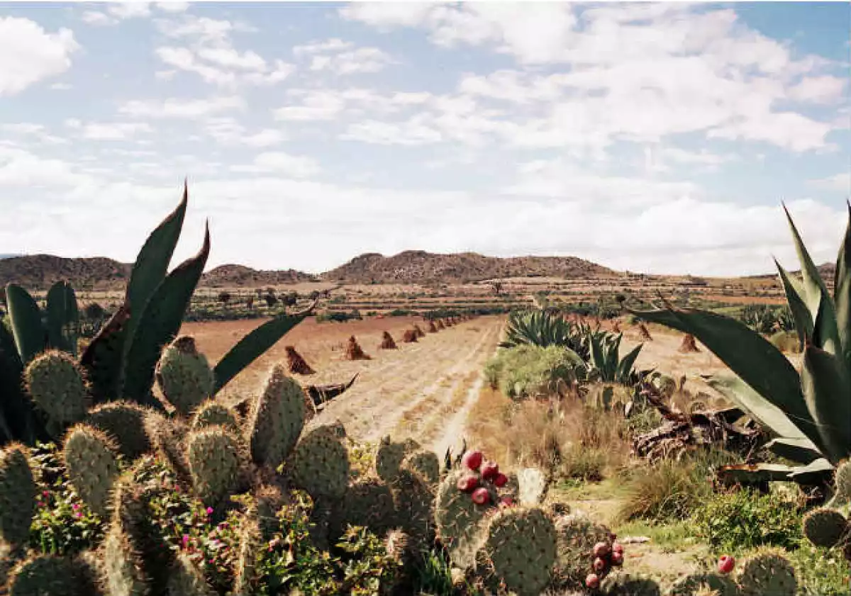 Terreno (Chichicuautla)