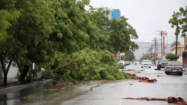 seguros y cambio climático