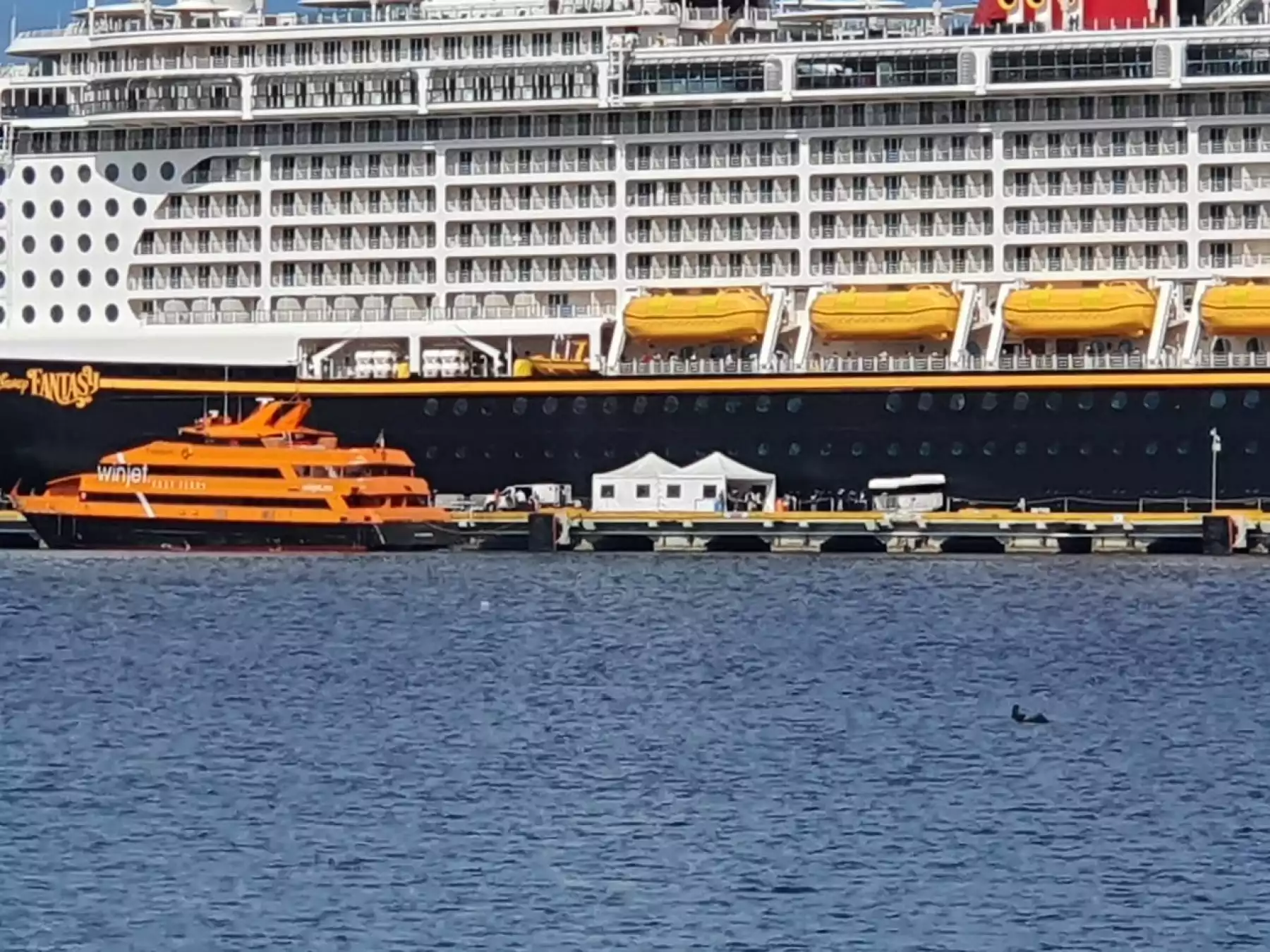 Crucero.