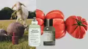 PORTADA (4).jpg