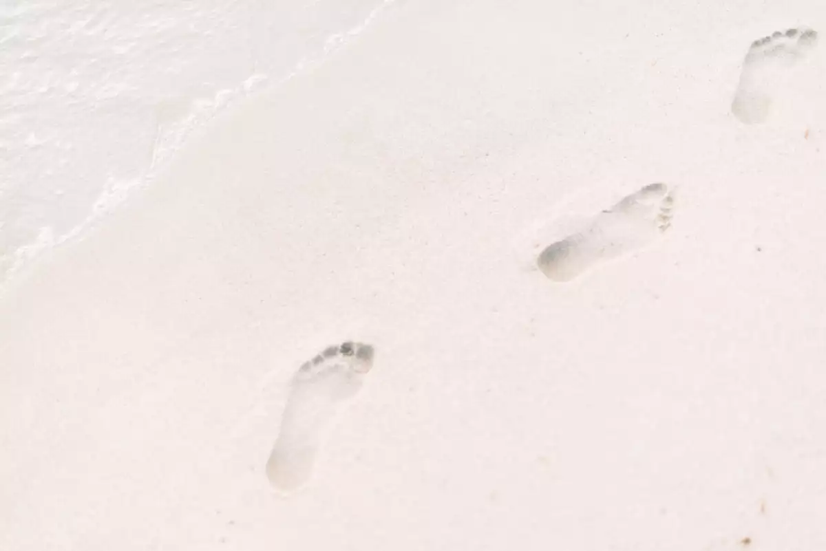 roman-kraft-279919-unsplash