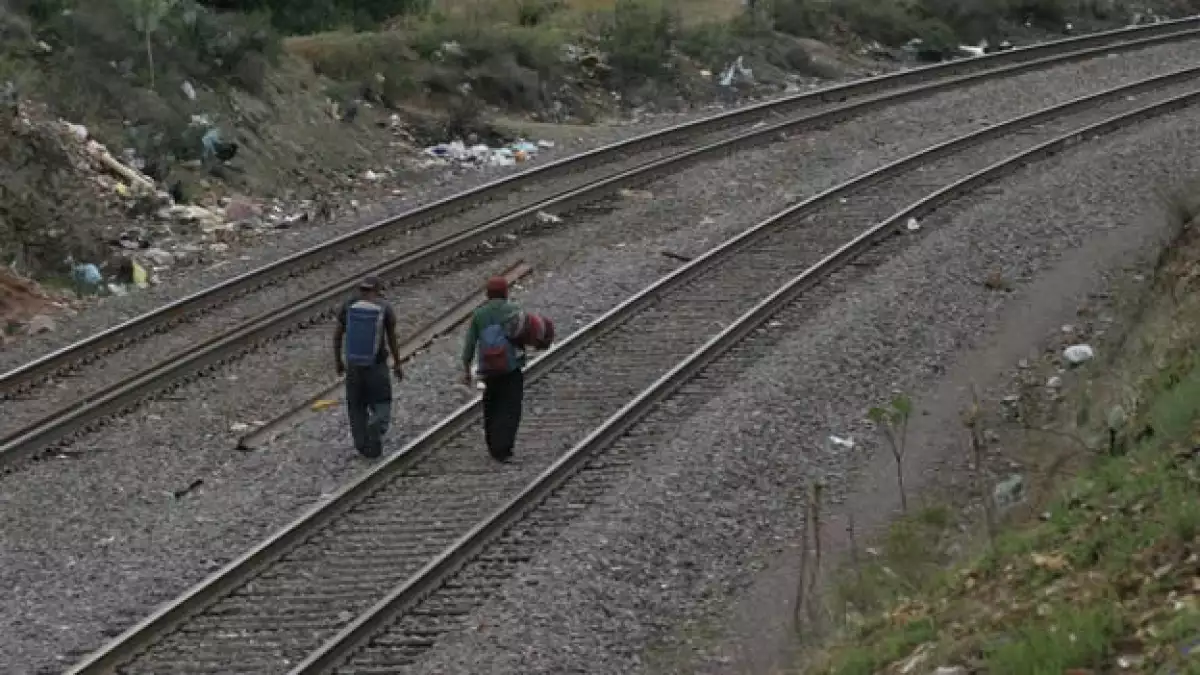 migrantes