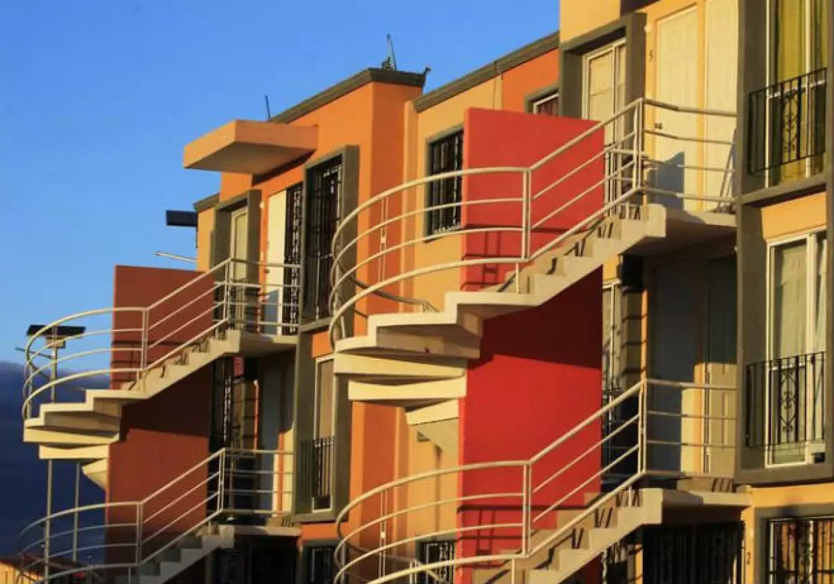 Casas en una construcción de viviendas de Homex,