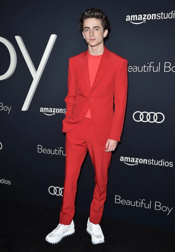 Amazon Studios Of Angeles Premiere Of "Beautiful Boy" - Arrivals