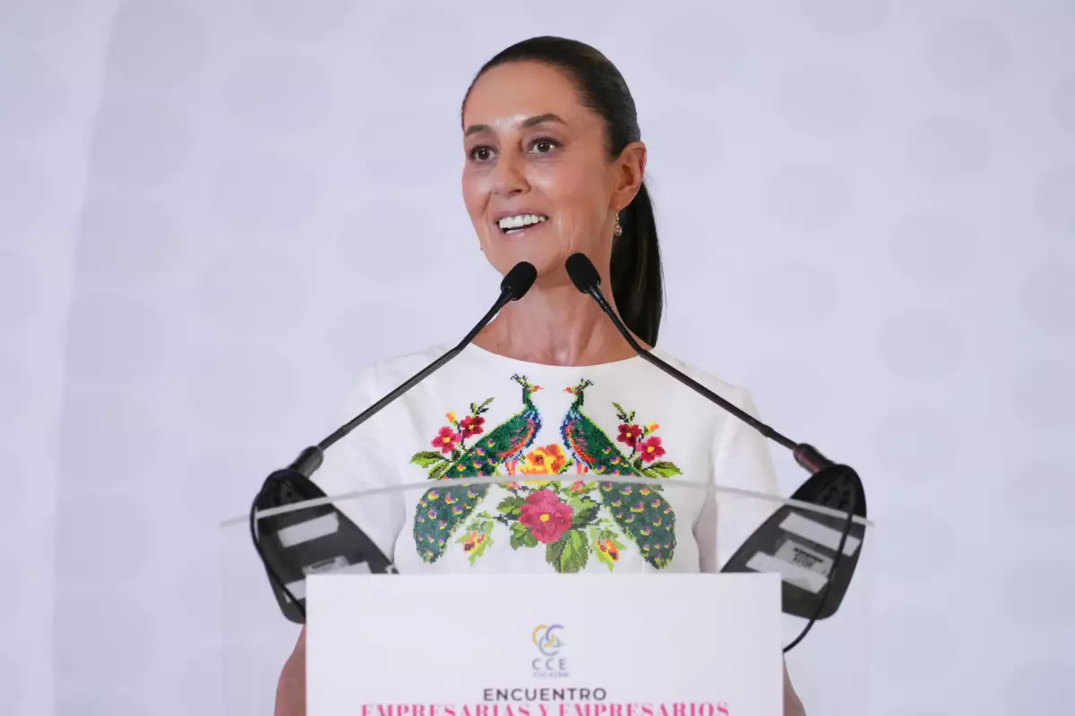 Shienbaum-Yucatán.jpeg