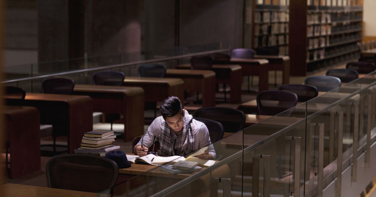 Bunlar Meksika ve diğer ülkelerde en çok incelenen kariyer ve kazandıkları şey