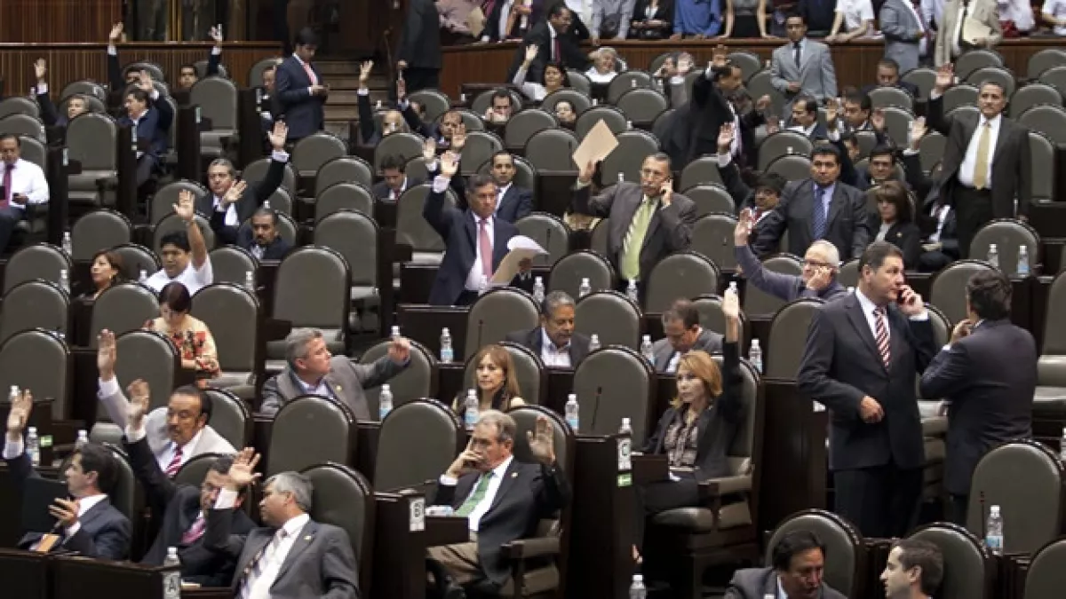 cámara de diputados
