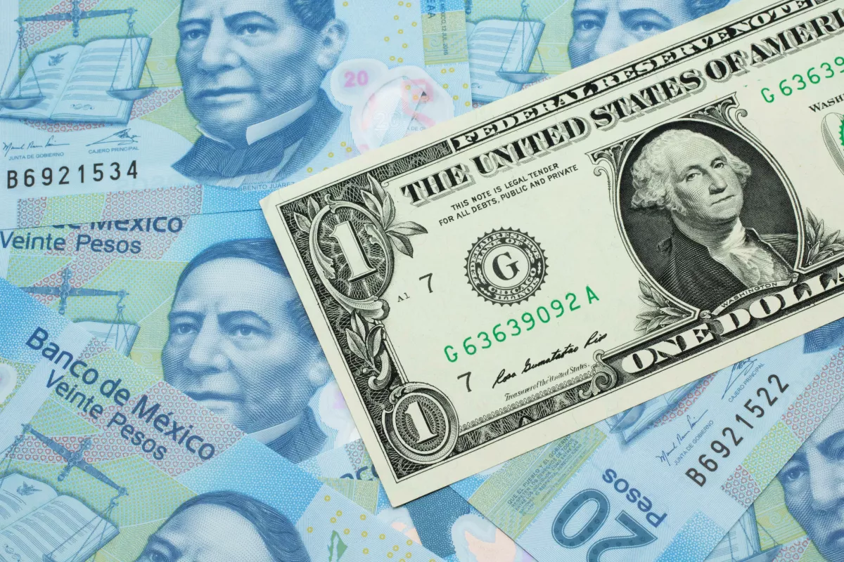 Peso mexicano hoy, 20 de febrero 2024: registra ligera ganancia frente al dólar