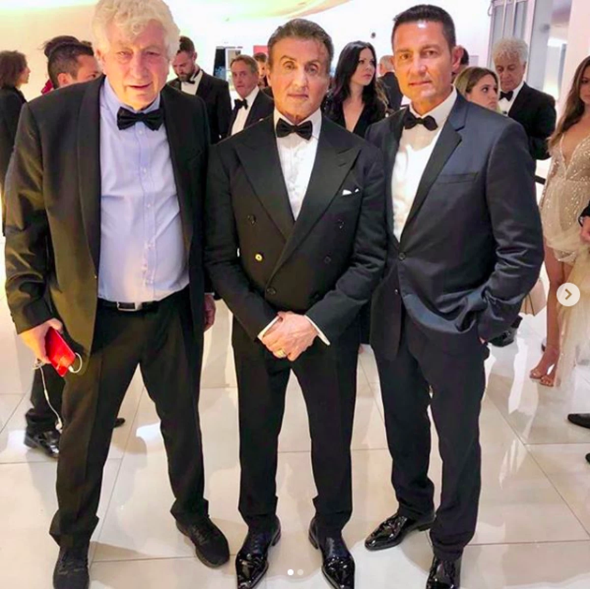 STALLONE.png