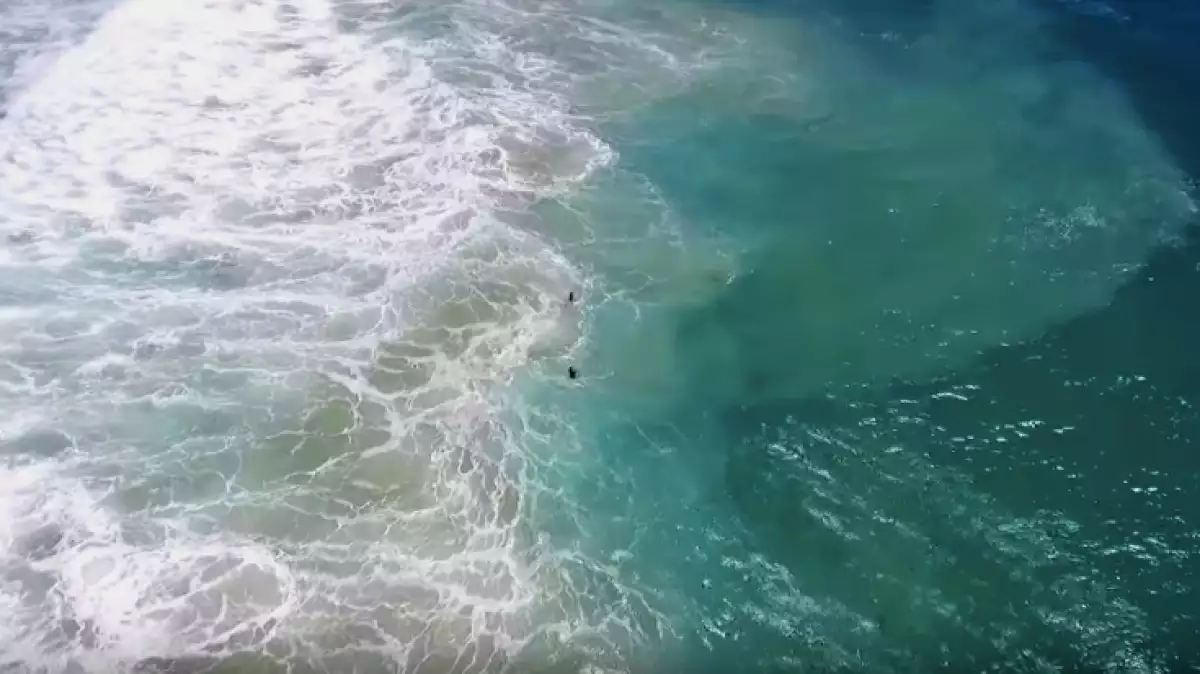 Dron