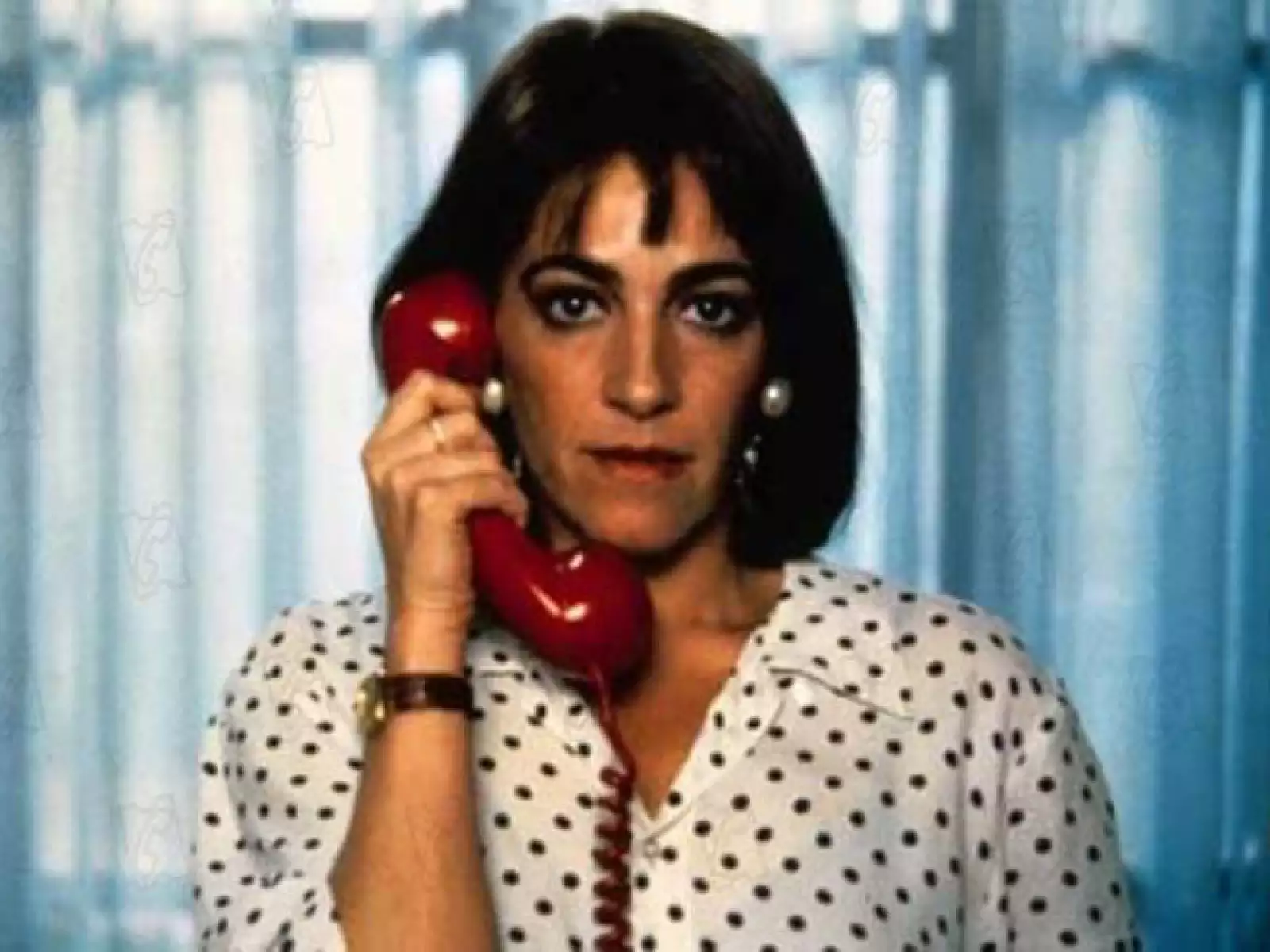 Carmen Maura, es sin duda, una de las actrices más icónicas de los filmes del director, la madrileña participó en Folle... Folle... ¡Fólleme Tim! (1978), Pepi, Luci, Bom y otras chicas del montón (1980), Entre tinieblas (1984), ¡Qué hecho yo para merecer esto! (1984), Matador (1986), La ley del deseo (1987), Mujeres al borde de un ataque de nervios (1988) y Volver (2006).