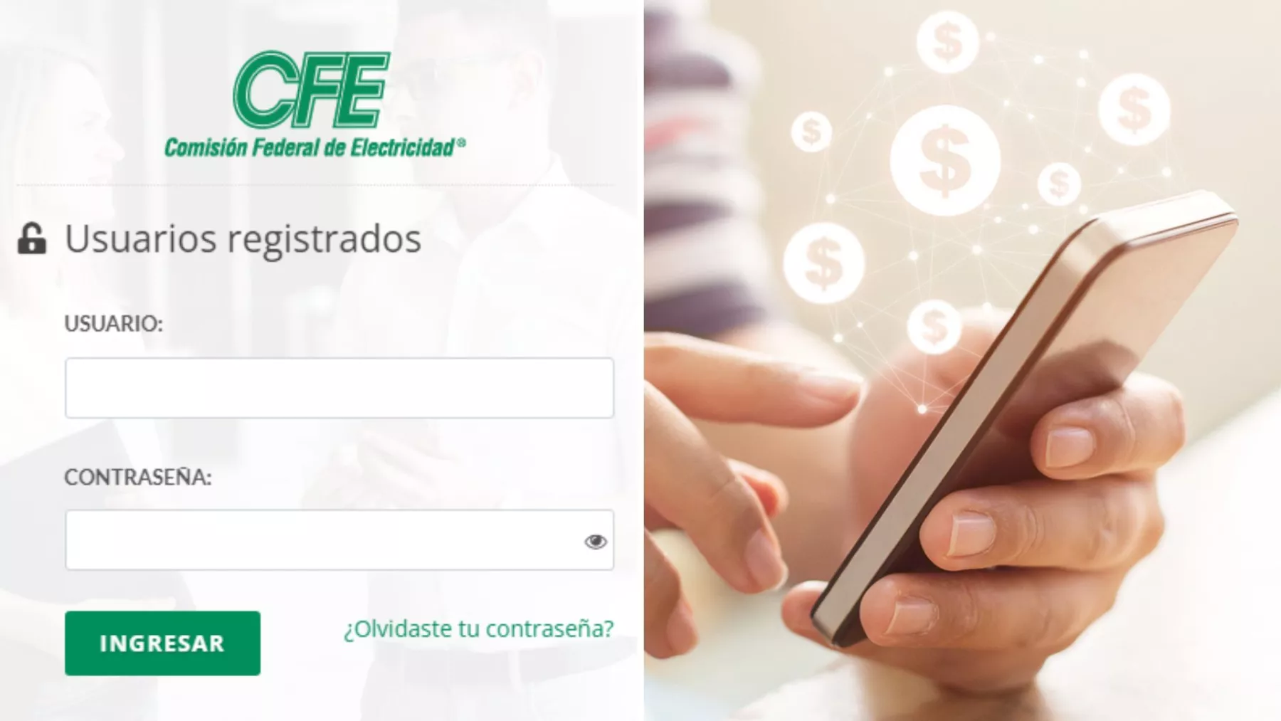 pago-cfe-en-linea