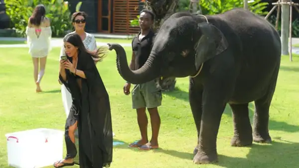 Ahora que el clan Kardashian-Jenner se encuentra vacacionando en Tailandia, la hermana más famosa decidió tomarse una foto con un elefante, con lo que no contaba era que a él no le encantaría la idea.