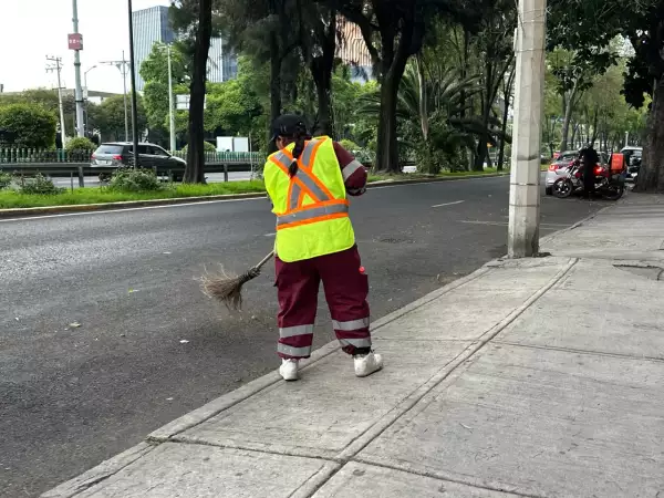 Limpia-Sobse-CDMX .jpg