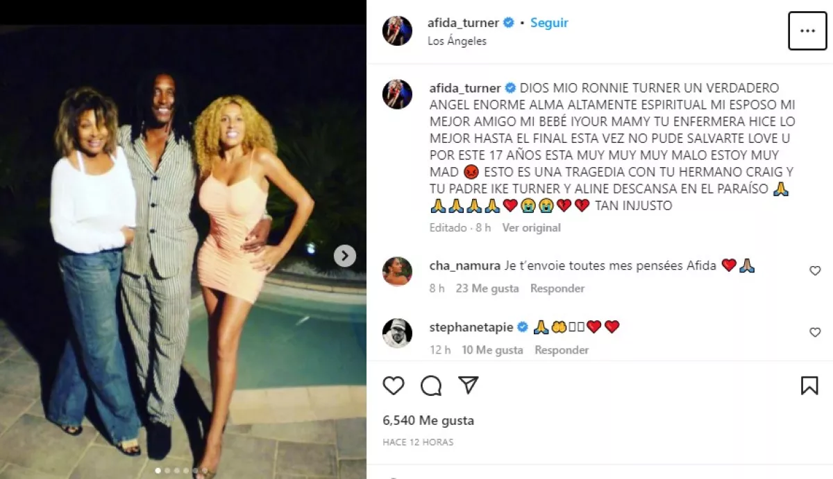 tina-turner-hijo