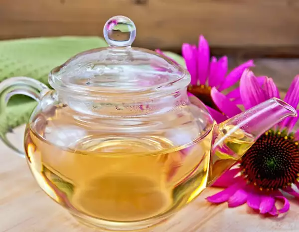 El té de equinácea te ayudará a sentirte con más energía y vitalidad a lo largo de tu día.