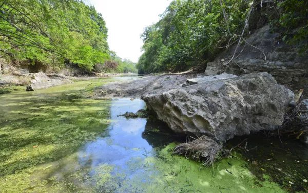 ¿En qué consiste el proyecto?