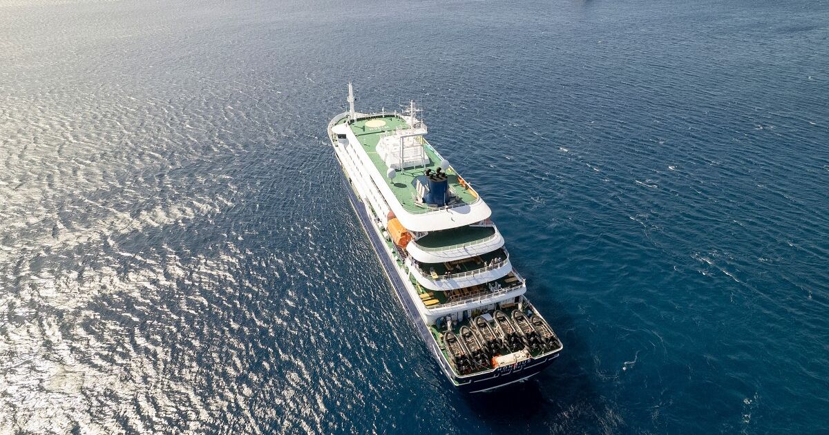 OMS reporta 3 muertes por hantavirus en crucero en el Atlántico