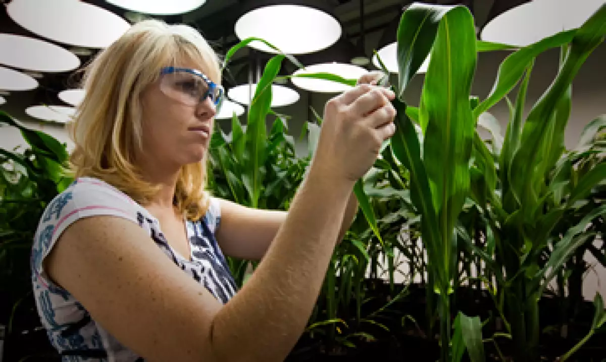 La empresa cerrará un total de 3,600 plazas de trabajo. (Foto: Getty Images)