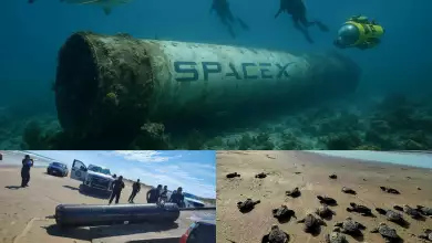 La basura espacial de SpaceX en Tamaulipas amenaza ocho años de esfuerzo por salvar a la tortuga lora
