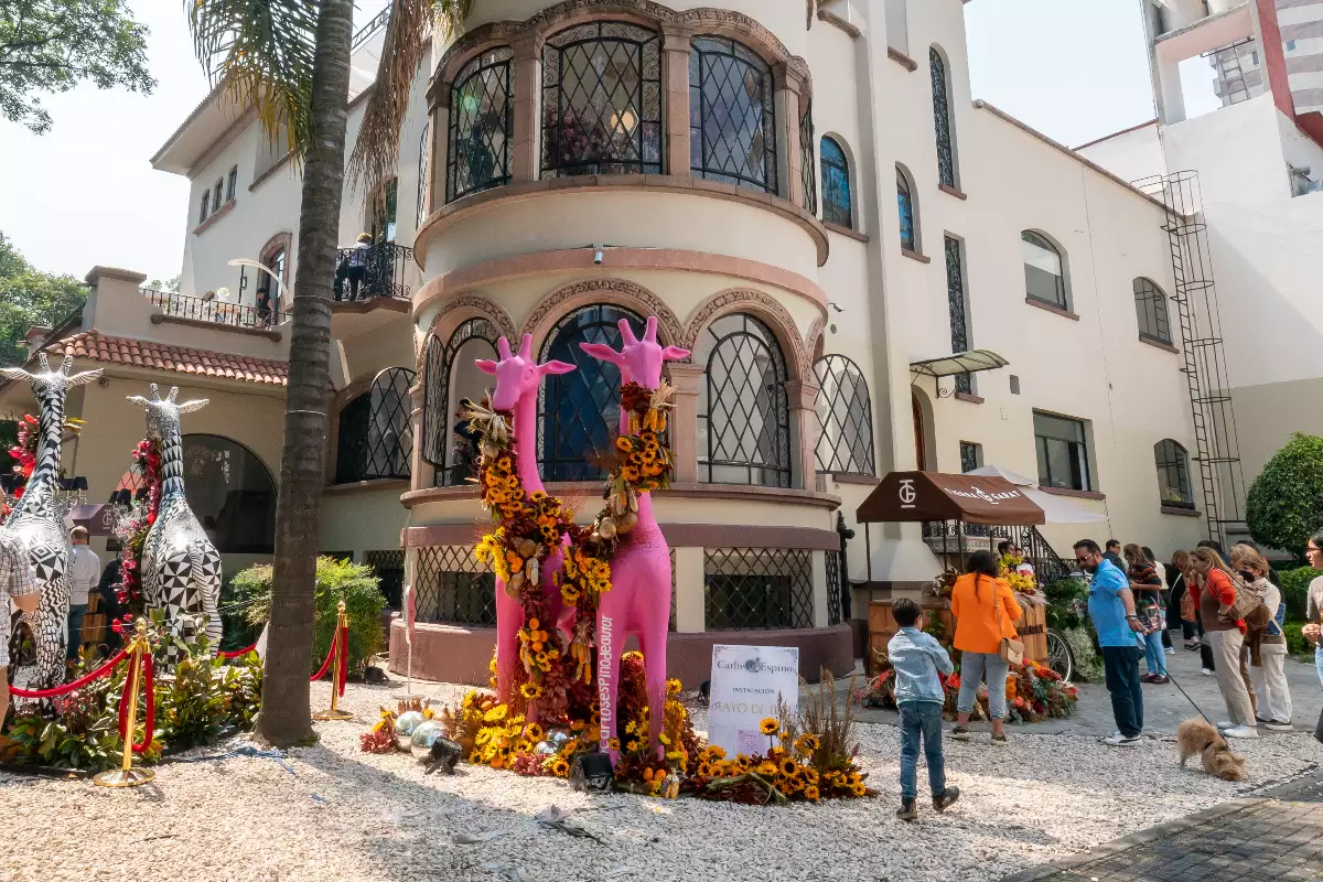 Foto de la fachada de una casa en Polanco llena de flores.