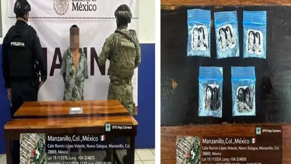 cjng colima
