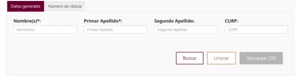 datos-consultar-constancia-profesional