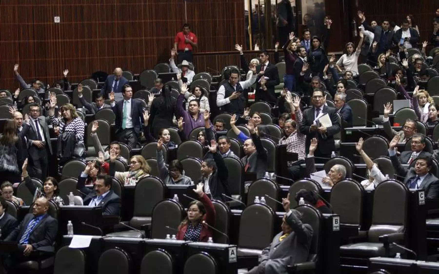 diputados federales.jpeg