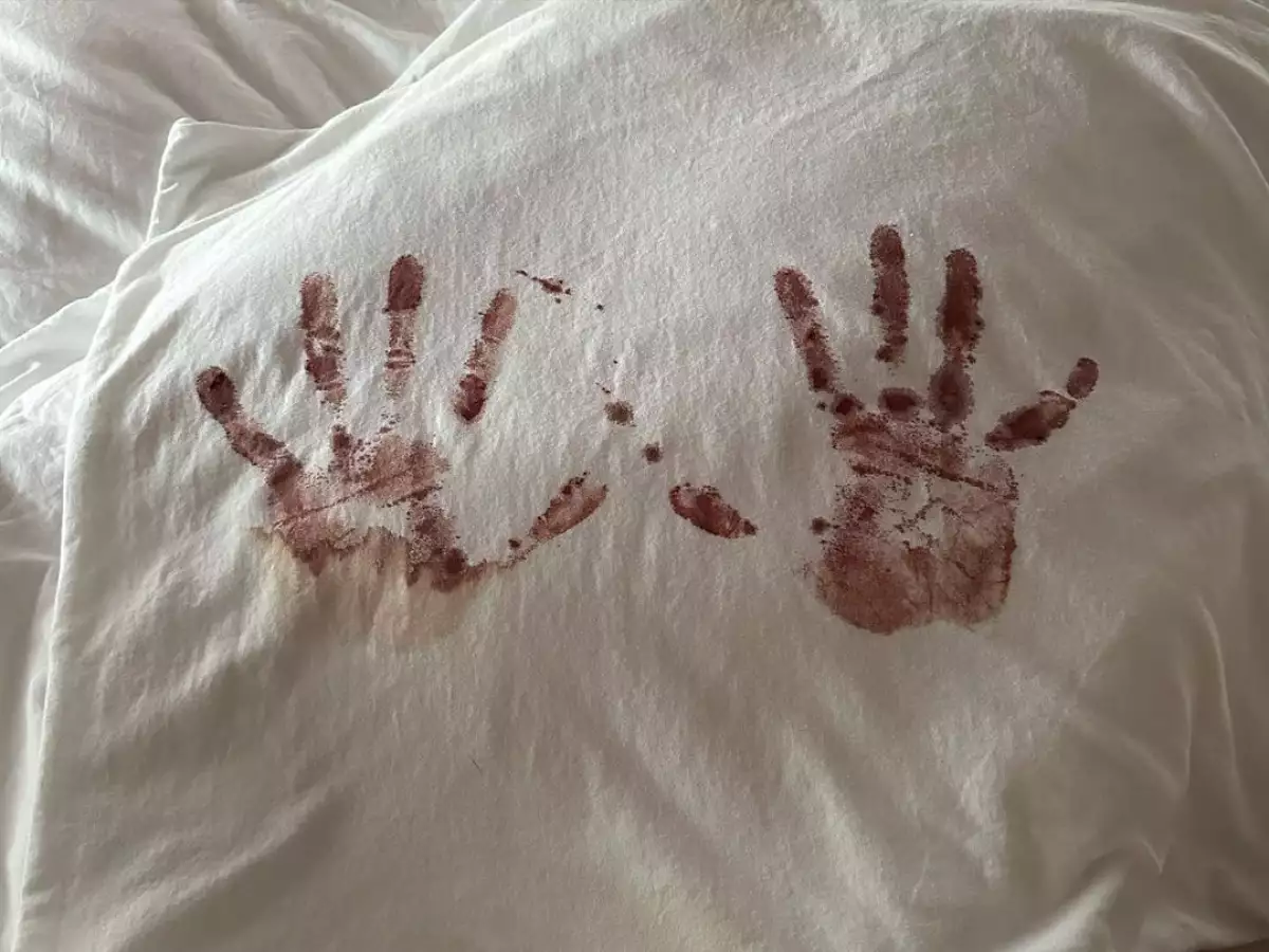 Camilo y Evaluna dan la bienvenida a su segunda hija Amaranto