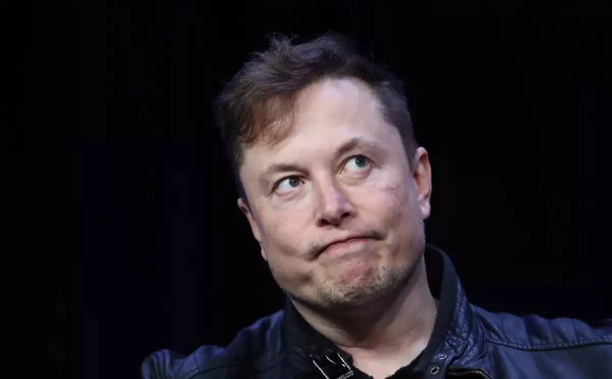 musk-tuvo-gemelos-en-secreto