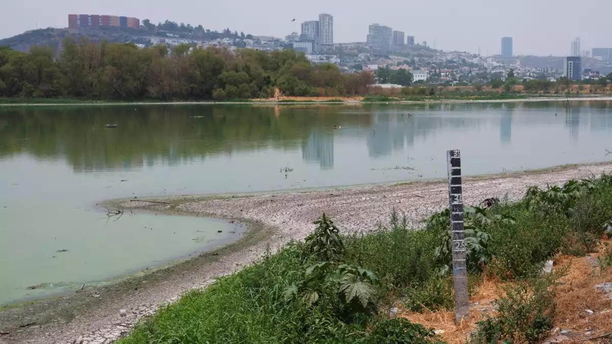 Escasez y problemas de infraestructura: el contexto del agua en México