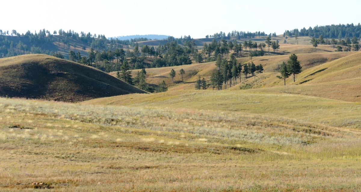 Black Hills, Dakota del Sur