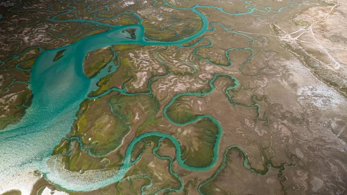  La Gran Carrera del Desierto de Altar